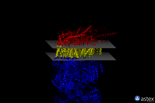 Membrane view of 6zkk