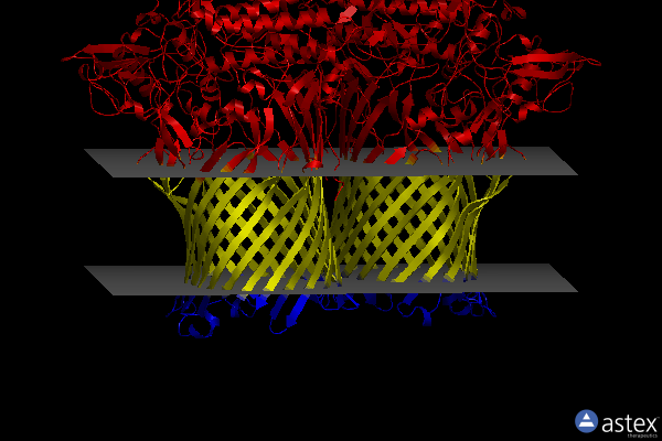 Membrane view of 6zlu