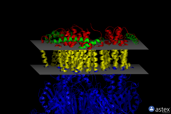Membrane view of 6zo7