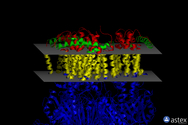 Membrane view of 6zo9