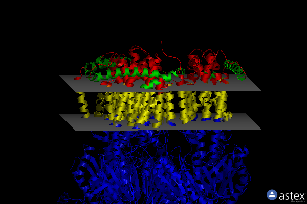 Membrane view of 6zoa