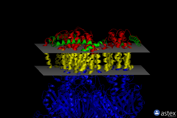 Membrane view of 6zob