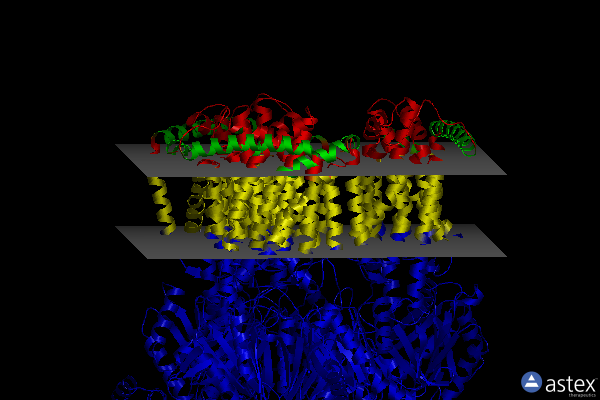 Membrane view of 6zoc