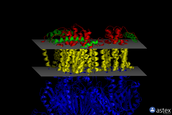 Membrane view of 6zod