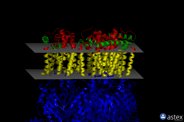 Membrane view of 6zoe