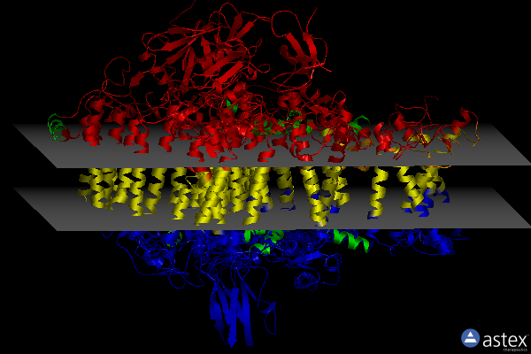 Membrane view of 6zoo