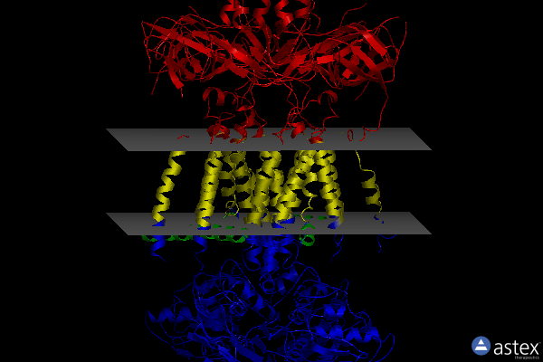Membrane view of 6zy3