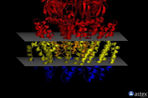 Membrane view of 6zyd