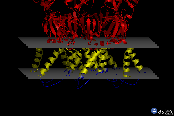 Membrane view of 6zye