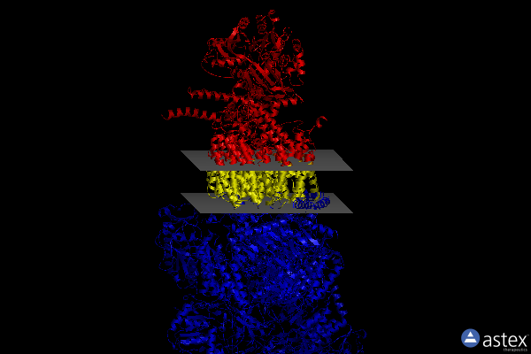 Membrane view of 7a24