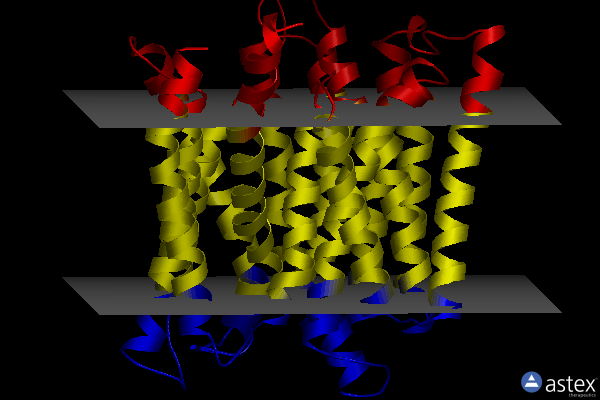 Membrane view of 7ac6