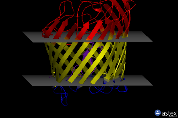 Membrane view of 7acg