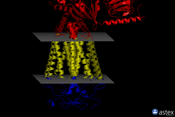 Membrane view of 7ad3
