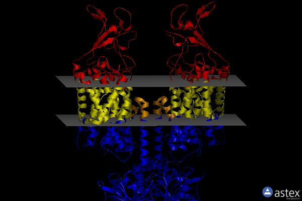 Membrane view of 7aip