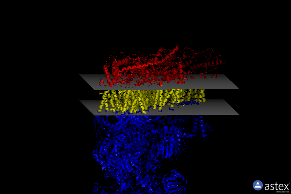 Membrane view of 7ak5