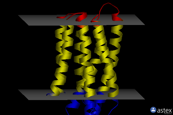 Membrane view of 7aky