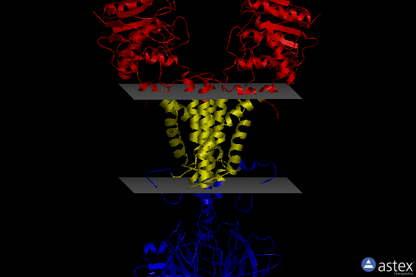Membrane view of 7ari