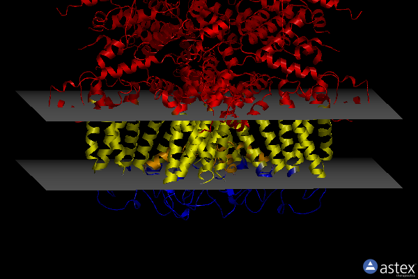 Membrane view of 7b0s