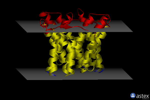 Membrane view of 7b1l