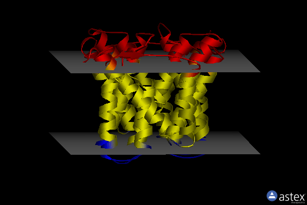 Membrane view of 7b1n