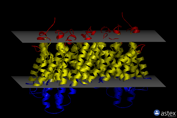 Membrane view of 7b4l