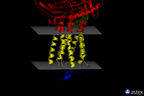 Membrane view of 7bb7