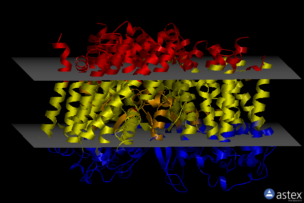 Membrane view of 7bcq
