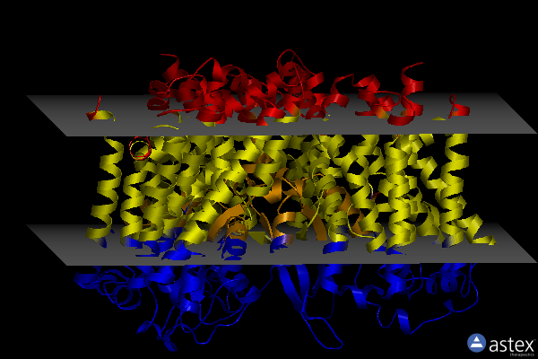 Membrane view of 7bcs