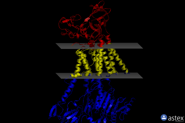 Membrane view of 7bsq