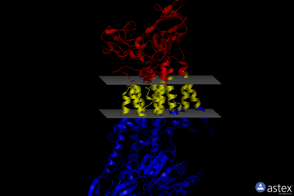 Membrane view of 7bsv