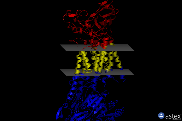 Membrane view of 7bsw