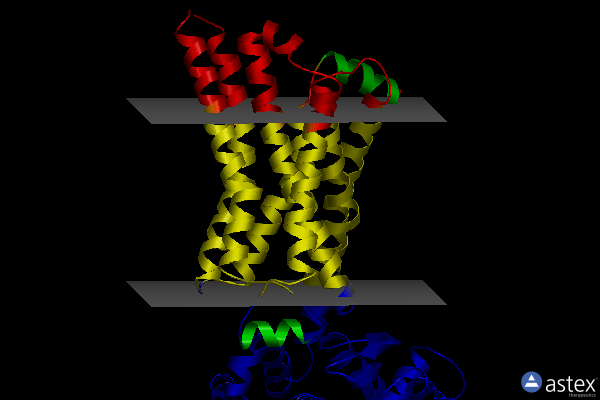 Membrane view of 7bu6