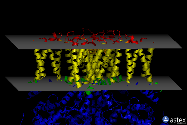 Membrane view of 7bym