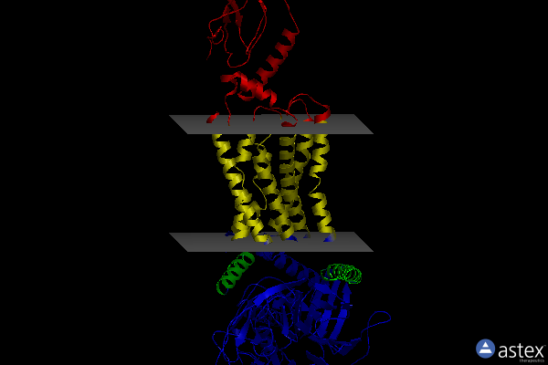 Membrane view of 7c2e