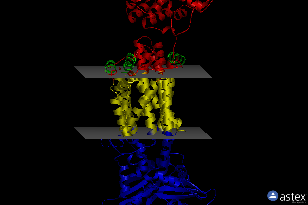 Membrane view of 7c2n
