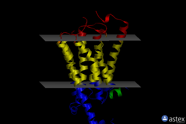 Membrane view of 7c61