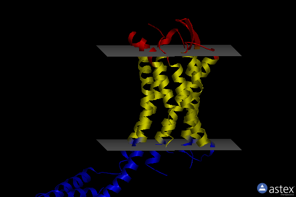 Membrane view of 7c6a