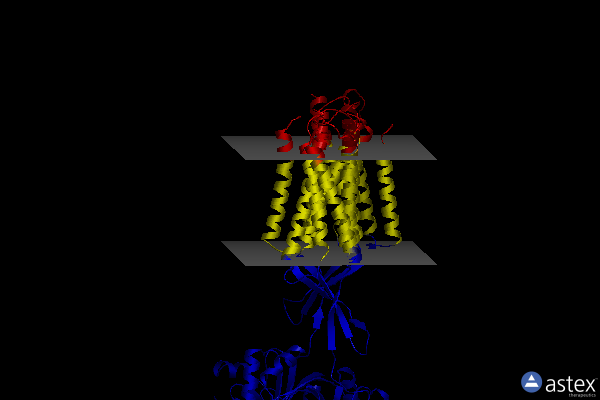 Membrane view of 7c7s