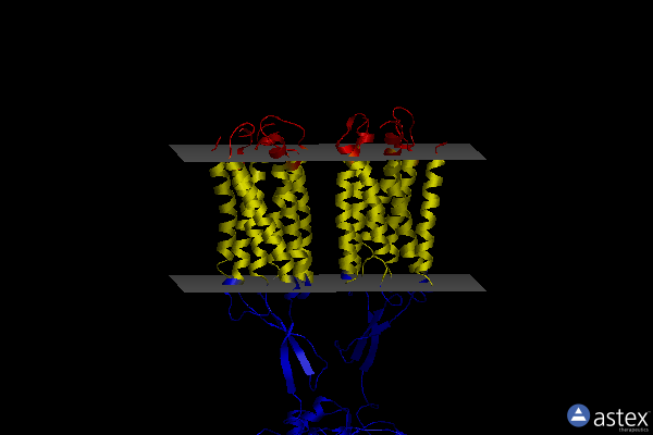 Membrane view of 7ca3