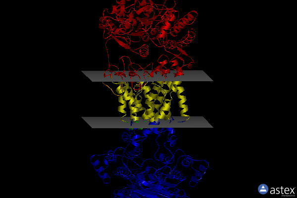Membrane view of 7cae