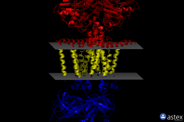 Membrane view of 7cgn