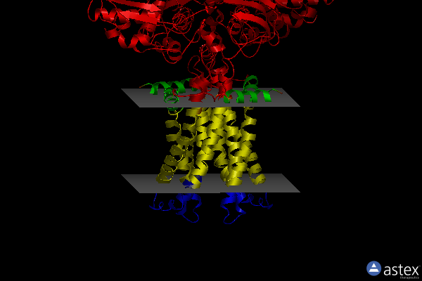 Membrane view of 7ch6