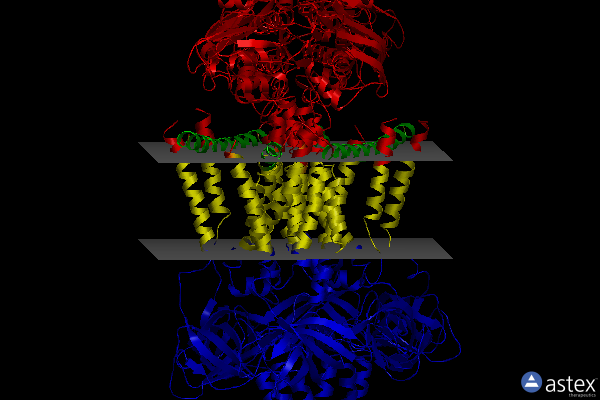 Membrane view of 7ch8