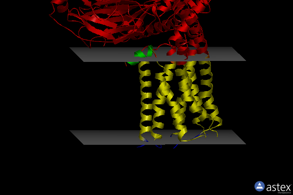 Membrane view of 7ckw