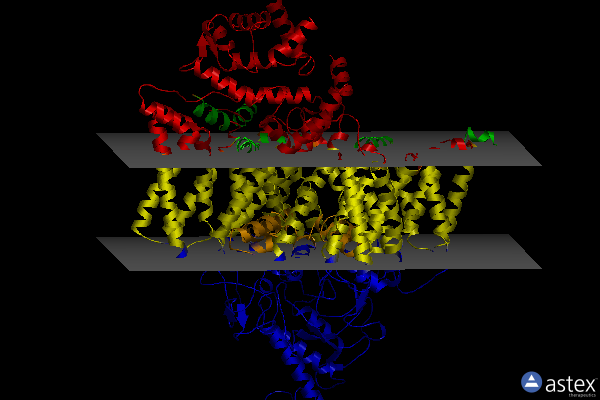 Membrane view of 7cm3