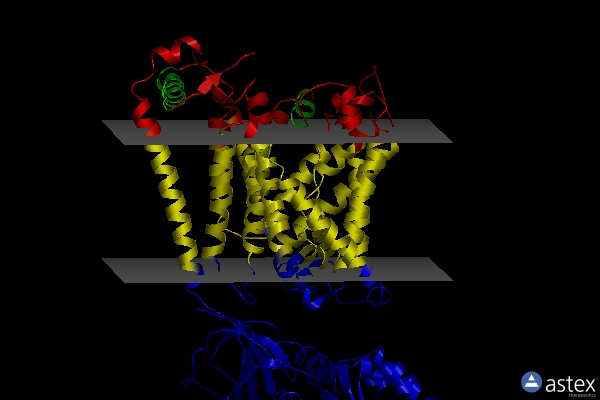 Membrane view of 7cmi