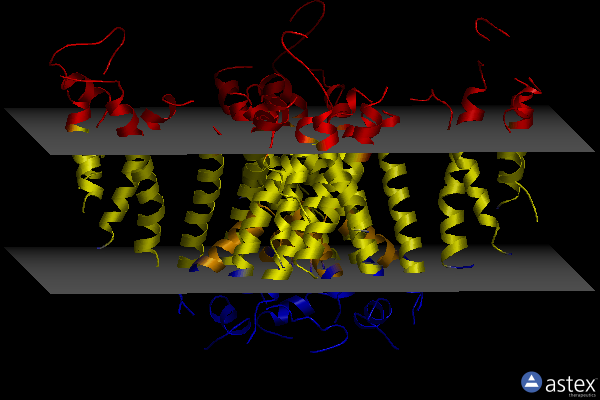 Membrane view of 7cn1