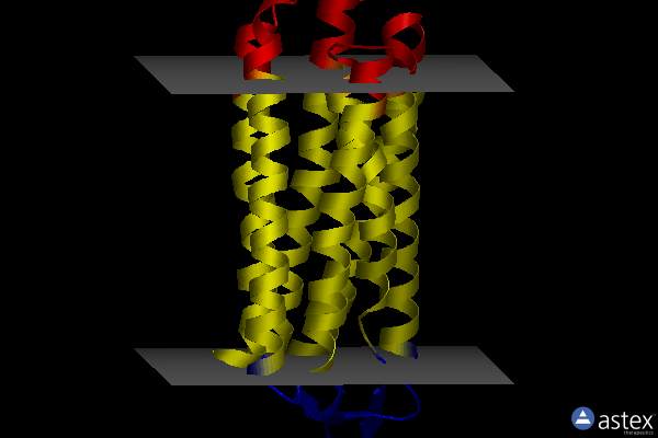 Membrane view of 7cri