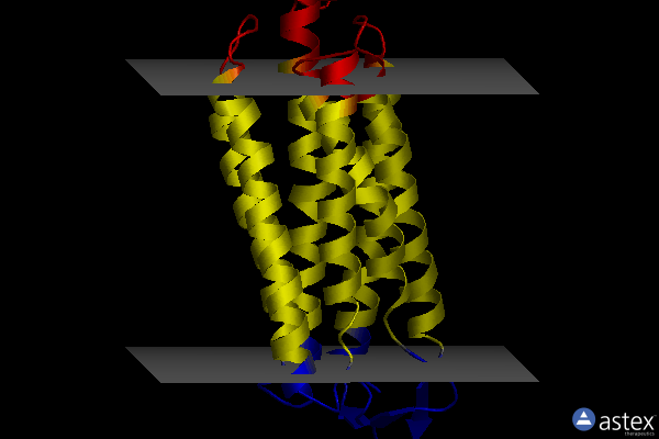 Membrane view of 7crt