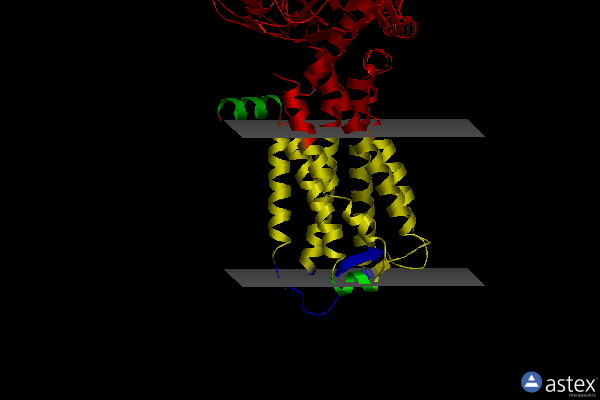 Membrane view of 7cx3